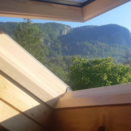 Apartma Nina Bohinj Zewnętrze zdjęcie