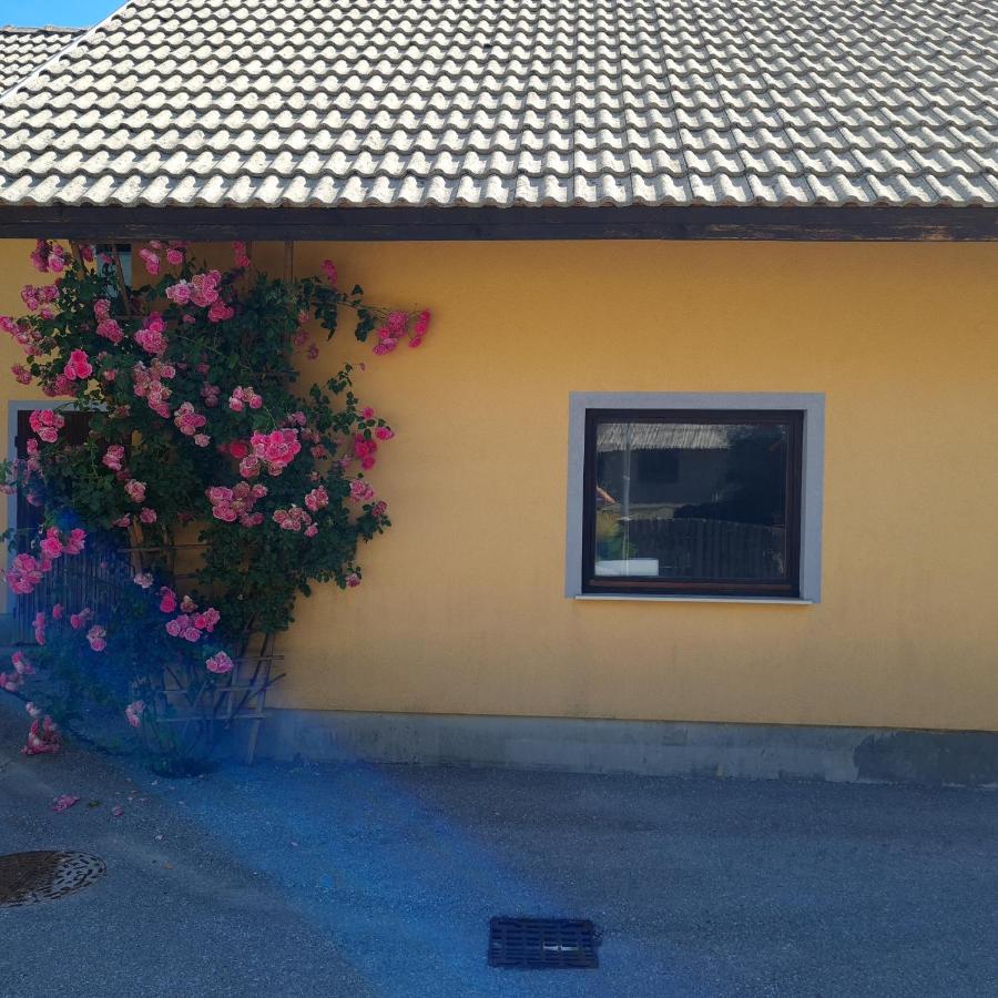 Apartma Nina Bohinj Zewnętrze zdjęcie